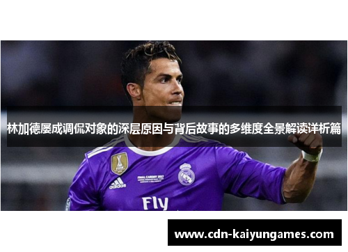 林加德屡成调侃对象的深层原因与背后故事的多维度全景解读详析篇