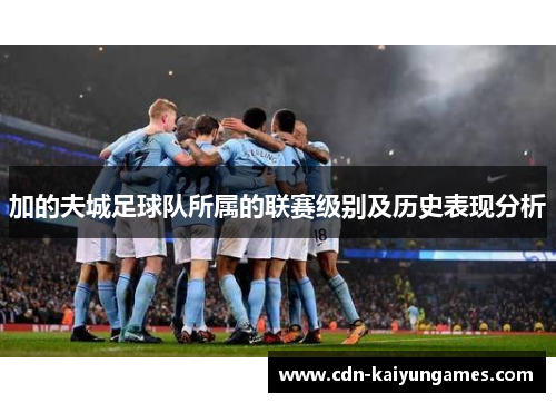 加的夫城足球队所属的联赛级别及历史表现分析