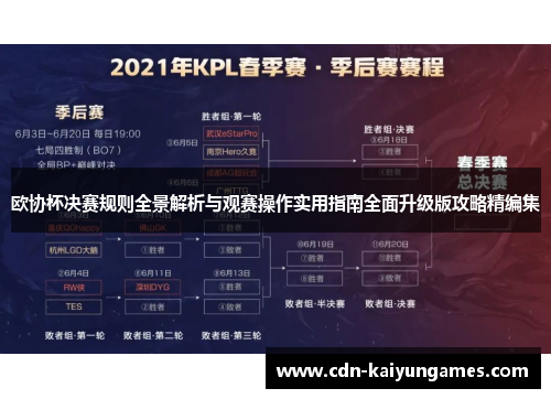 欧协杯决赛规则全景解析与观赛操作实用指南全面升级版攻略精编集