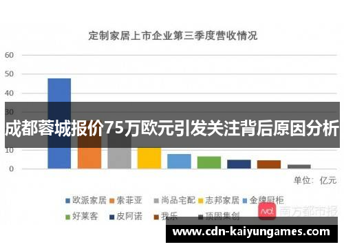 成都蓉城报价75万欧元引发关注背后原因分析