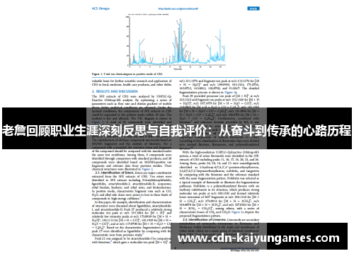老詹回顾职业生涯深刻反思与自我评价：从奋斗到传承的心路历程